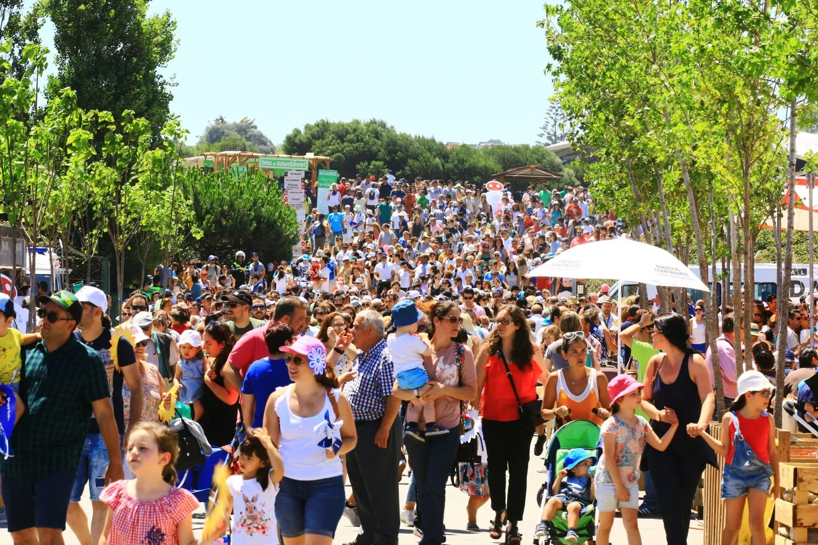 Festival Continente · Festa da Família